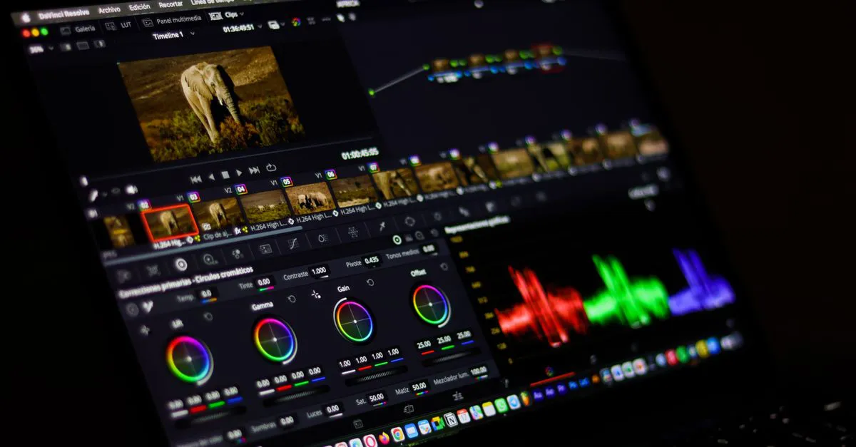 Questions to Ask Before Hiring a Video Editor